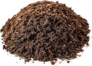 Soil