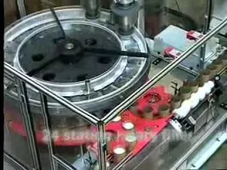 High-Speed Rotary Auger Filler - Model R/242